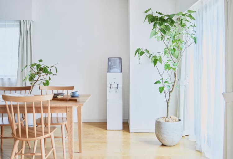 amadana-grandeサーバーのイメージ